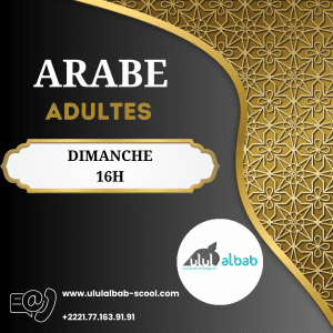 MAI COURS ARABE ADULTE