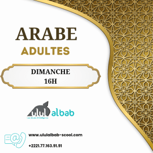 JUIN COURS ARABE ADULTE