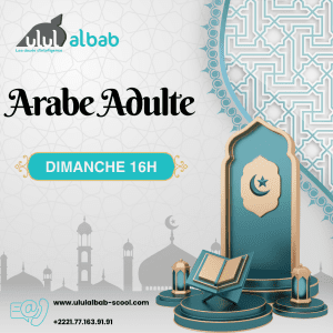 JUIL COURS ARABE ADULTE