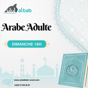 AOUT COURS ARABE ADULTE