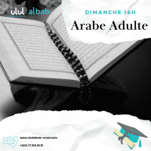 NOV COURS ARABE ADULTE