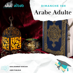 DEC COURS ARABE ADULTE