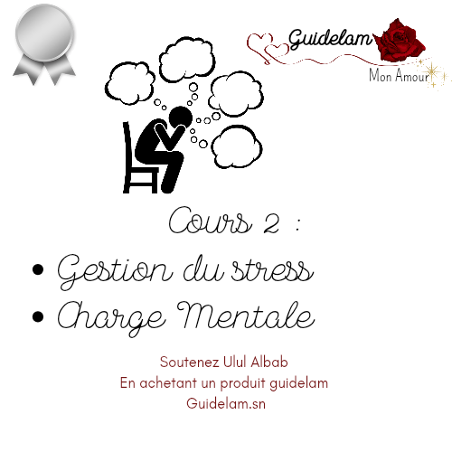 SILVER COURS 2: GESTION DU STRESS ET CHARGE MENTALE