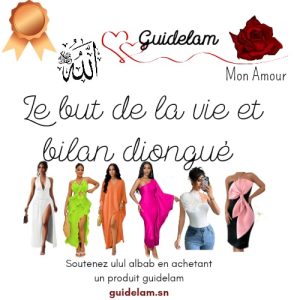 BRONZE COURS 1: LE BUT DE LA VIE ET BILAN DIONGUE