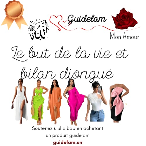 BRONZE COURS 1: LE BUT DE LA VIE ET BILAN DIONGUE