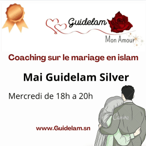MAI PARCOURS GUIDELAM SILVER