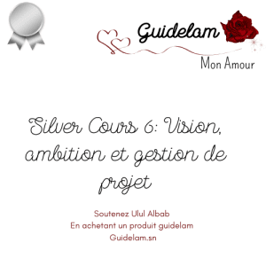 SILVER COURS 6 : VISION, AMBITION ET GESTION DE PROJET