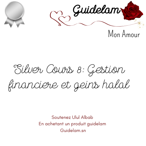 SILVER COURS 8 : GESTION FINANCIERE ET GAINS HALAL