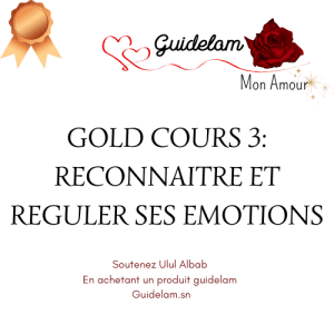 GOLD COURS 3 : RECONNAITRE ET REGULER SES PROPRES EMOTIONS