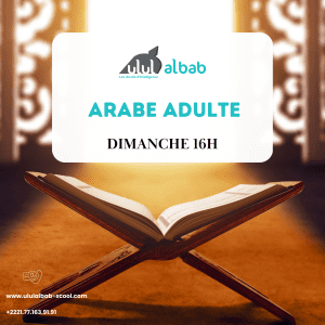 OCT COURS ARABE ADULTE