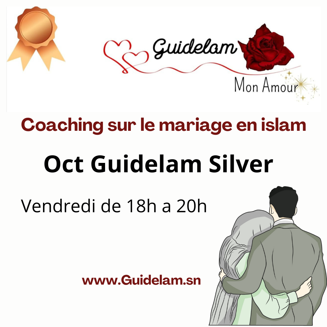 OCT PARCOURS GUIDELAM SILVER