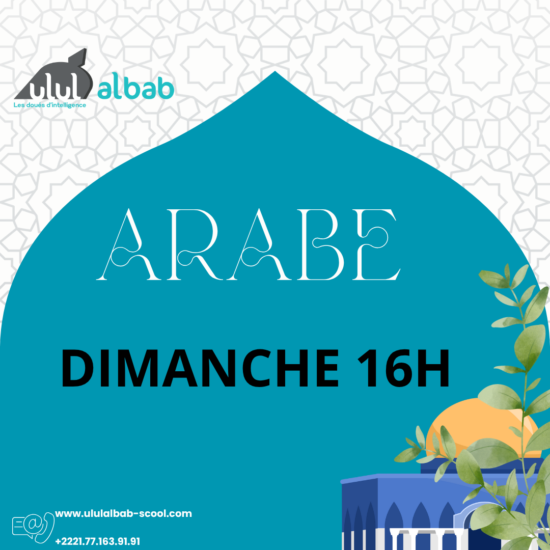 NOV COURS ARABE ADULTE