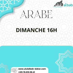 JUIL COURS ARABE ADULTE