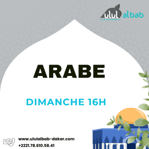 OCT COURS ARABE ADULTE